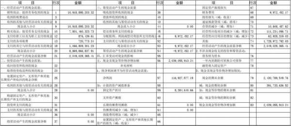 财务查账报告模板下载-财务查账报告模板-第3张图片-马瑞范文网