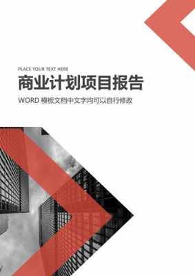 商业报告封面模板（商业报告模板word）-第2张图片-马瑞范文网