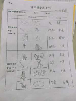  种子植物调查表模板「种子植物调查表模板图片」-第1张图片-马瑞范文网