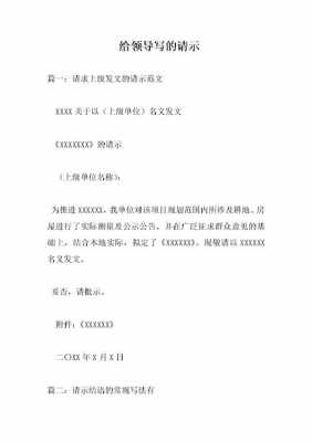  领导请示的模板「领导请示是什么意思」-第1张图片-马瑞范文网