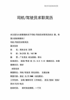 司机招聘求职简历-男司机应聘简历模板-第3张图片-马瑞范文网