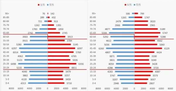 人口结构报告 人口结构分析模板-第2张图片-马瑞范文网