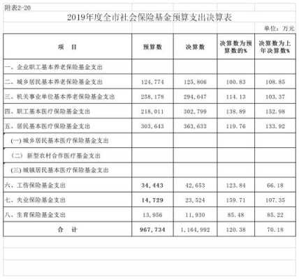 社保决算模板_社保预算-第1张图片-马瑞范文网