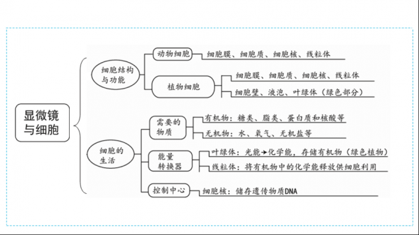 生物的结构层次的思维导图 生物的结构层次ppt模板-第1张图片-马瑞范文网