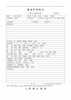 责任制整体护理病历是什么-第1张图片-马瑞范文网