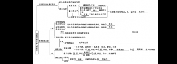  高中生物万能导入模板「高中生物 导入」-第3张图片-马瑞范文网