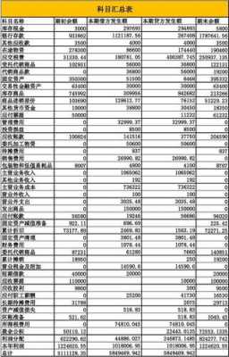 科目汇总表分析模板_科目汇总表分析模板图片-第3张图片-马瑞范文网