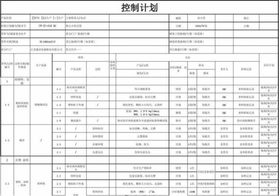 过程控制计划模板-第3张图片-马瑞范文网