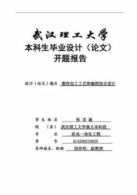  武汉理工大学开题报告模板「理工开题报告范文样本」-第1张图片-马瑞范文网