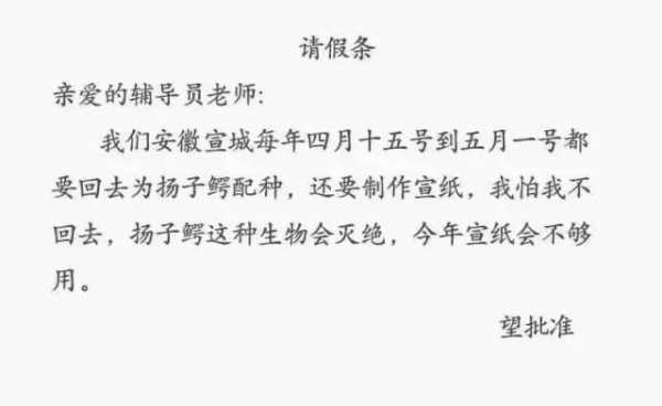 向市长请假的模板_向局长请假报告怎么写-第1张图片-马瑞范文网