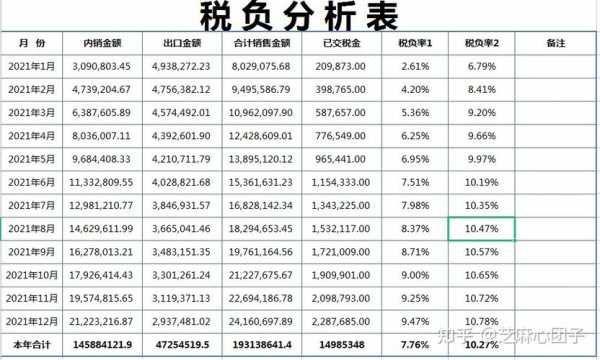 企业税负分析报告模板_企业税负调查分析-第1张图片-马瑞范文网