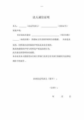 诚信记录证明材料是怎么开的-诚信证明怎么模板-第1张图片-马瑞范文网