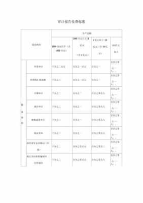 招投标审计报告模板_招投标审计报告收费标准及出具流程-第3张图片-马瑞范文网