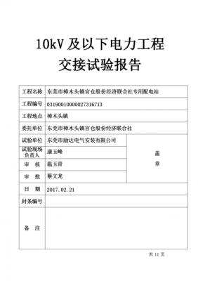 项目交接试验报告模板-第1张图片-马瑞范文网