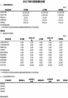 财务月报告分析模板,财务月报表分析 -第3张图片-马瑞范文网