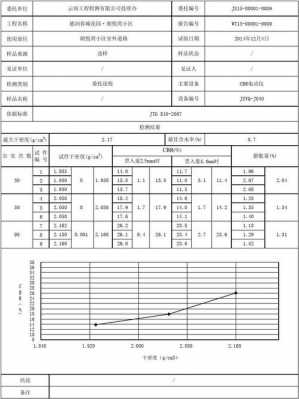 车子承重检测报告模板怎么写 车子承重检测报告模板-第2张图片-马瑞范文网