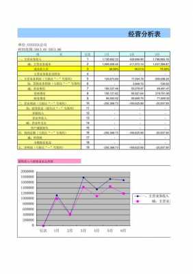 内部分析报表模板-第3张图片-马瑞范文网