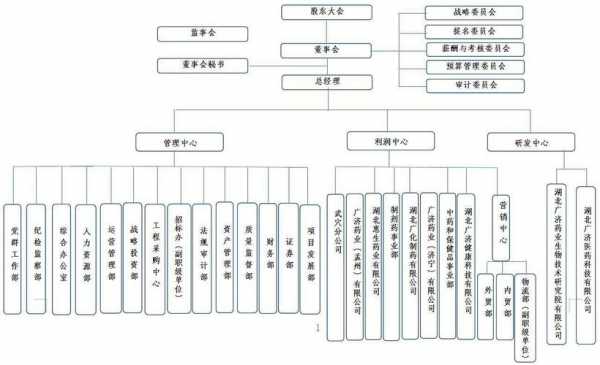 公司组织架构方案模板-第1张图片-马瑞范文网