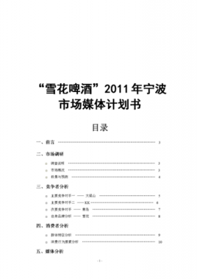  啤酒市场规划方案模板「啤酒市场规划方案模板下载」-第1张图片-马瑞范文网