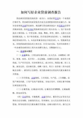 企业贷款贷前报告模板_企业贷前调查怎么进行-第3张图片-马瑞范文网