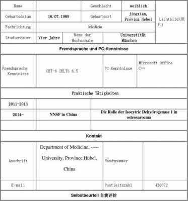 德语简历模板下载（德语简历自我评价）-第3张图片-马瑞范文网
