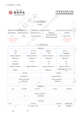 2017个人信用报告模板-第3张图片-马瑞范文网