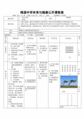 力量教案模板_力量课教案-第2张图片-马瑞范文网