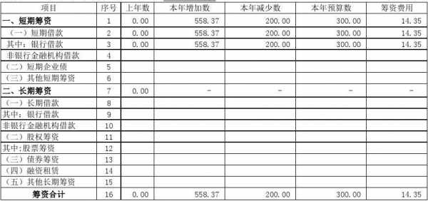 财务统筹包括哪些-项目财务统筹模板-第1张图片-马瑞范文网