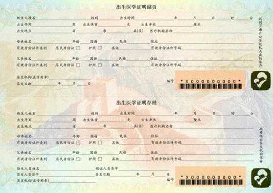 出生医学证明空白模板,出生医学证明空白模板最新版 -第2张图片-马瑞范文网