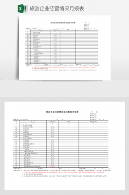 经营状况的模板,经营状况表模板 -第2张图片-马瑞范文网