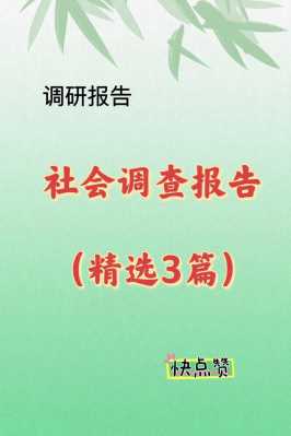 社会调查报告的模板（社会调查报告的模板ppt）-第1张图片-马瑞范文网