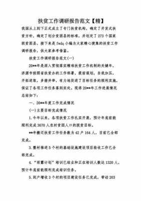 政府扶贫调研报告模板,扶贫工作调研报告最佳范文 -第2张图片-马瑞范文网