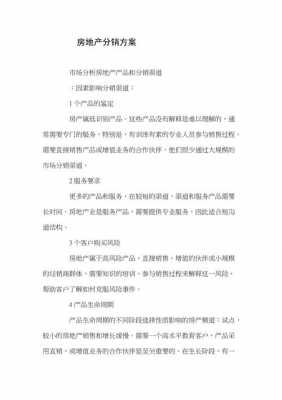 分销政策方案模板_分销政策设计怎么写-第2张图片-马瑞范文网