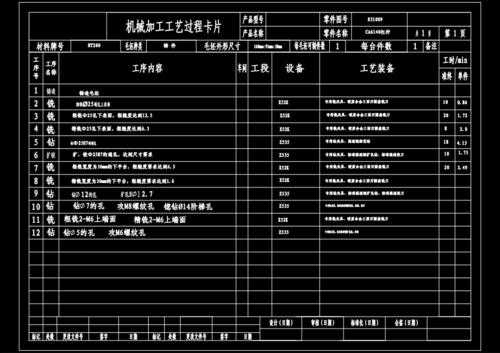 中成药制照工艺卡模板-第1张图片-马瑞范文网