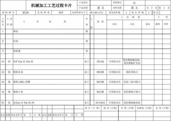 中成药制照工艺卡模板-第3张图片-马瑞范文网