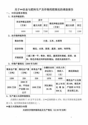 农业调研报告怎么写-农业处调研报告模板-第1张图片-马瑞范文网