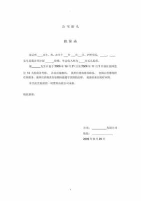  办理签证的担保信模板「申请签证证件的证明担保函件」-第3张图片-马瑞范文网