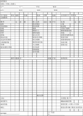 查货报告模板（查货报告模板下载）-第1张图片-马瑞范文网