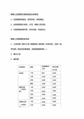 营销人员工资待遇模板（营销人员工资待遇模板怎么写）-第3张图片-马瑞范文网