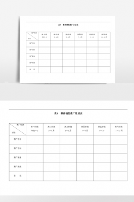 项目营销策划简表-营销项目简介模板-第3张图片-马瑞范文网