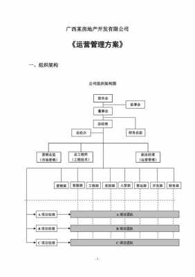 运营方案指什么-运营方案模板是什么意思-第1张图片-马瑞范文网