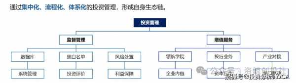 投资项目投后管理-第2张图片-马瑞范文网