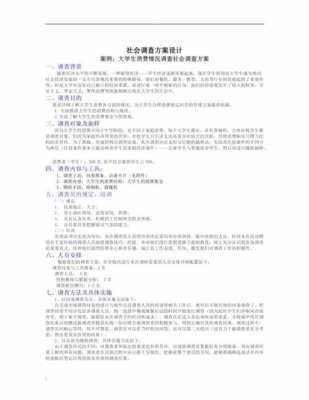 调查方案模板6_调查方案模板及范文大学生-第2张图片-马瑞范文网