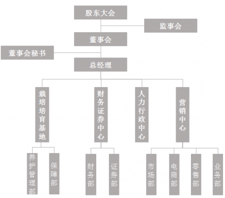 花卉公司有哪些部门-第2张图片-马瑞范文网