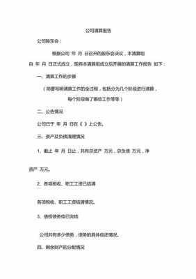 公司清算后财务文件如何处理-公司清算财务报告模板-第3张图片-马瑞范文网