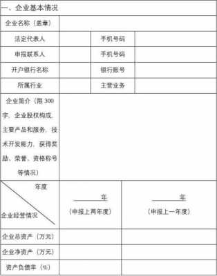 工业专项资金申报模板图片-第3张图片-马瑞范文网