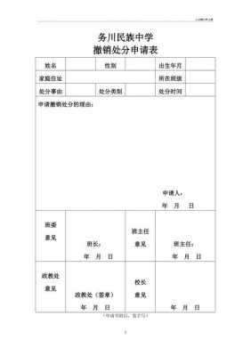 撤销报表申请模板_撤销申报说明-第1张图片-马瑞范文网