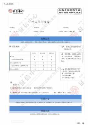 征信实训报告-征信管理实践报告模板-第2张图片-马瑞范文网