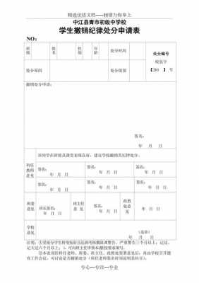 撤销申请啥意思 撤销申请表模板-第2张图片-马瑞范文网