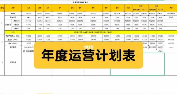 品牌年度运营模板,品牌运营年度规划 -第2张图片-马瑞范文网